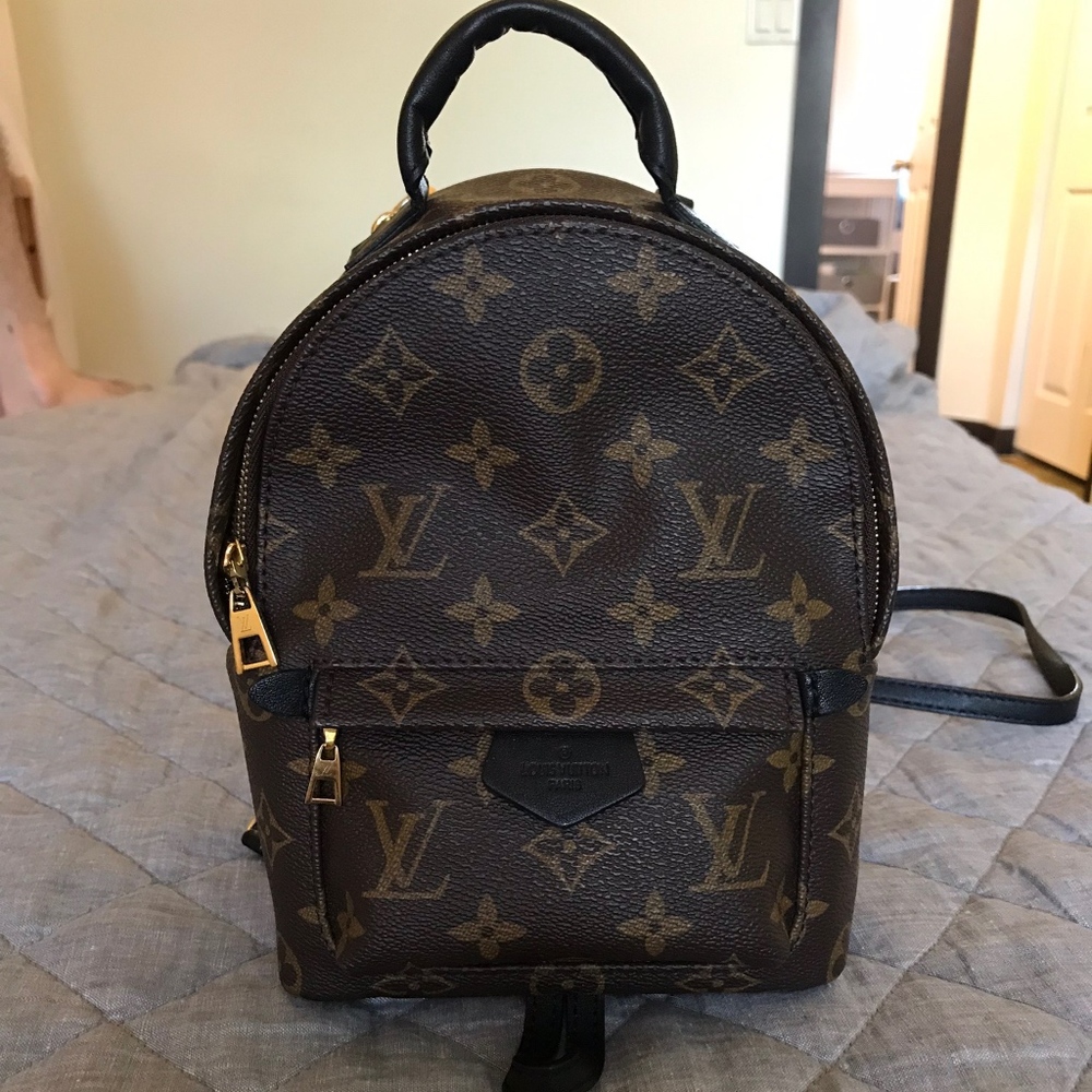 Louis Vuitton Palm Springs MINI backpack
